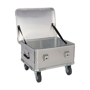 Empty interior of the included shallow case · 504020, with hinged lid and two support straps; no foam or dividers supplied