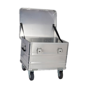 Empty interior of the included medium case · 504030, with hinged lid and two support straps; no foam or dividers supplied