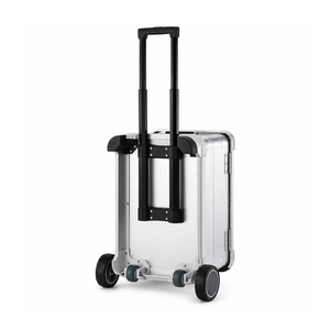 Rear view of silver equipment case showing pull handle rails and large wheel assembly
