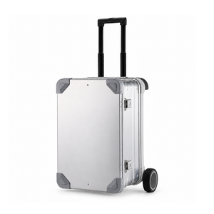 Silver aluminum equipment case with extended telescoping handle and 5-inch main wheel
